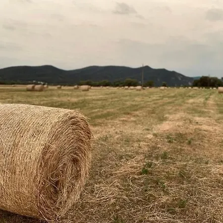 Pilisrelax-stílusos Vendèghàz Casa vacanze